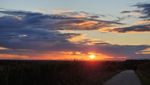 Wiesloch nach Eschelbach Rundweg
