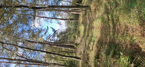 Piener Kopf (A3)