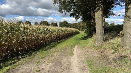 Wilsum Rundwanderung