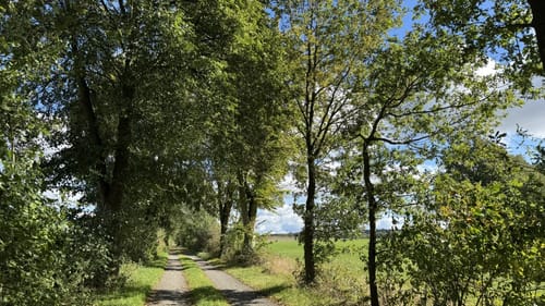 Wilsum Rundwanderung
