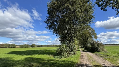 Wilsum Rundwanderung