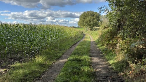 Wilsum Rundwanderung