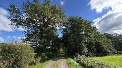 Wilsum Rundwanderung