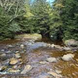 Bear Rocks, Raven Ridge, and Dobbin Grade Trail, West Virginia - 646 ...