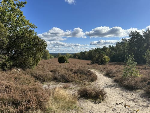 Südheide 'Sagenhafte Sicht im Elfenland' W4m (mittlere Tour)