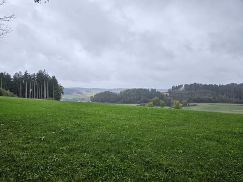 Bad Birnbach - Oberbirnbach Runde