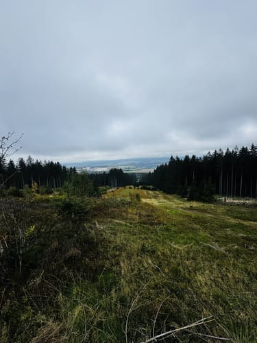 Ölmühlentour (Traumschleife)