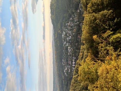 Wanderung 790 - Zum Hordtberg
