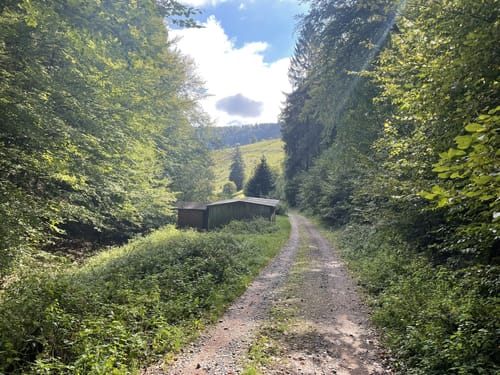Rundwanderweg Iggelbach 5: Kurfürstenstuhl