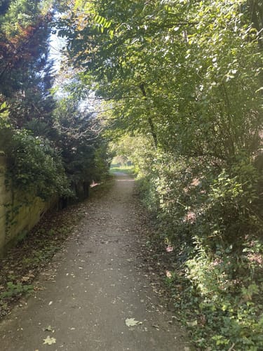 Herrenstrunden Bergisch-Gladbach Rundweg