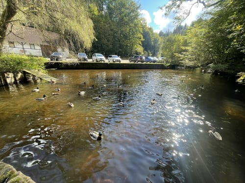 Trippstadt Rundweg 4: Karlstalrundweg