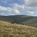 Dragon's Back Circular, Powys, Wales - 1,273 Reviews, Map | AllTrails