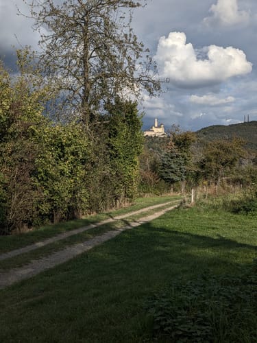 Rheingoldbogen (Traumpfad)