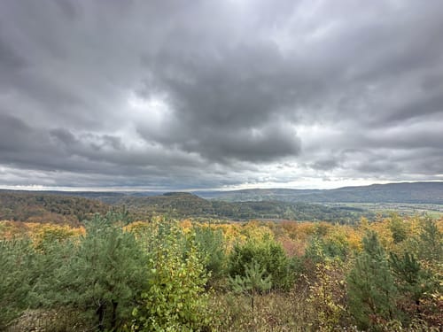 Mainzer Köpfe P12 (Premiumwanderweg)