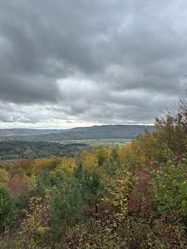 Mainzer Köpfe P12 (Premiumwanderweg)