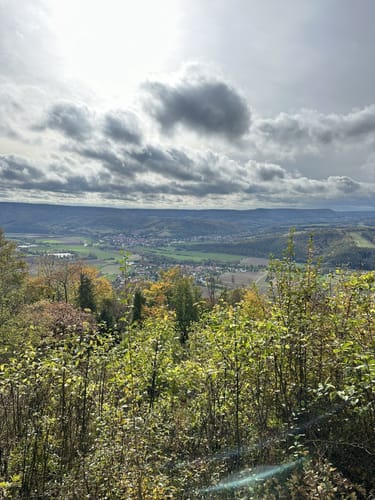 Mainzer Köpfe P12 (Premiumwanderweg)