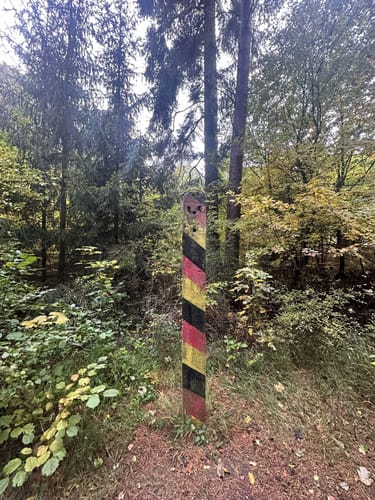 Mainzer Köpfe P12 (Premiumwanderweg)