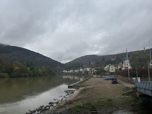 Neckarsteinach: Vier Burgen und Goetheblick [CLOSED]