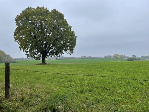 An der Schwentine bis Heegholz