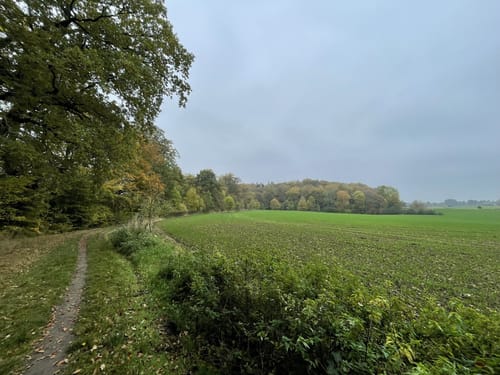 An der Schwentine bis Heegholz