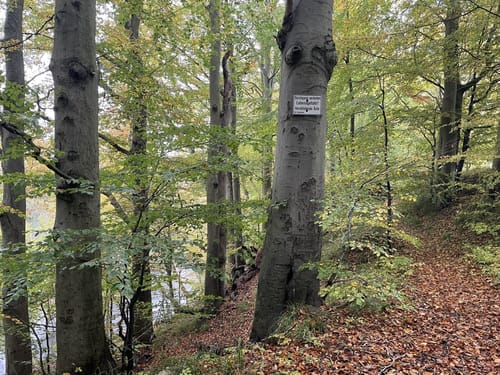 An der Schwentine bis Heegholz