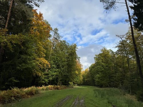 Naurath Rundweg
