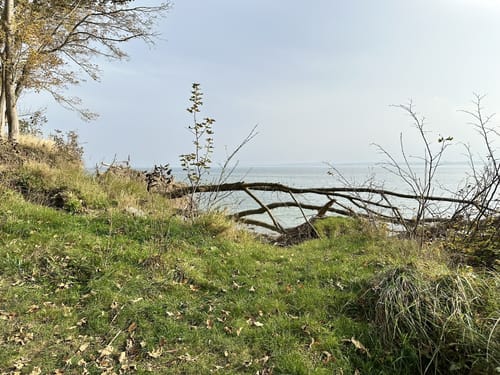 Eckernförde - Hemmelmarker See - Aasee