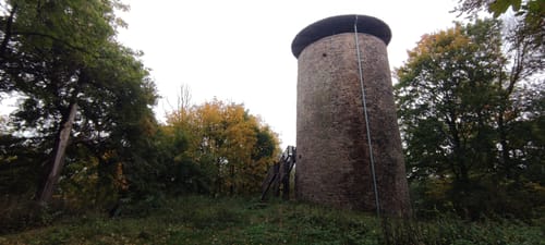 Reichenbach P10 (Premiumwanderweg)