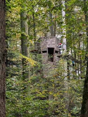 Mainauwald rund um St. Katharina