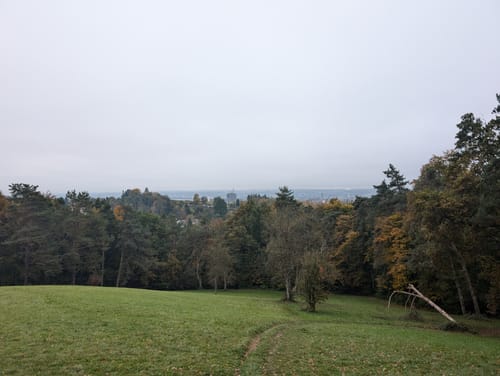 Mainauwald rund um St. Katharina