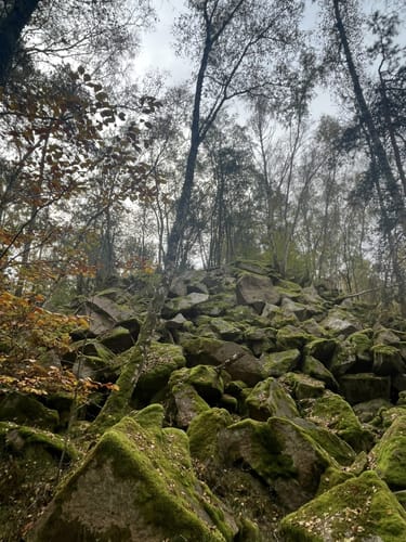 Rund um den Leuchtenberg