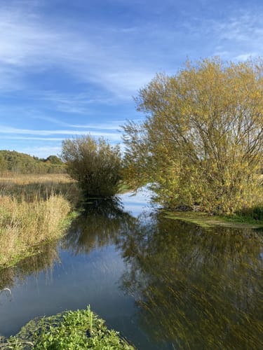 An der Eider
