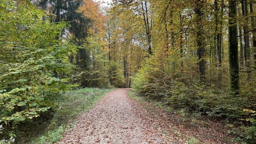 Wagensass bei Sulzbach