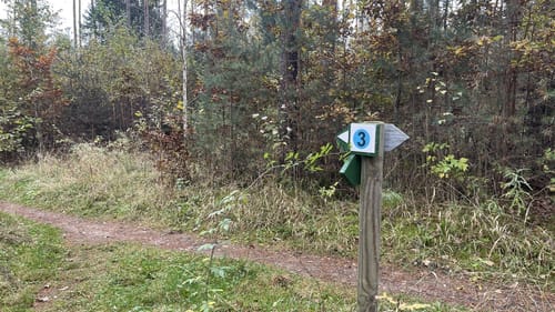 Wagensass bei Sulzbach
