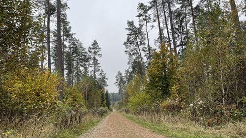 Wagensass bei Sulzbach