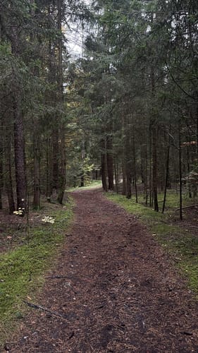 Wagensass bei Sulzbach