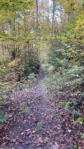Wagensass bei Sulzbach