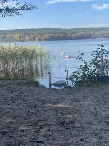 Um den Großen Glubigsee