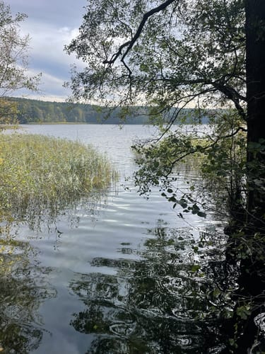 Um den Großen Glubigsee