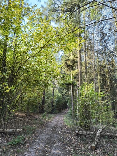 Klobichsee - Rundweg