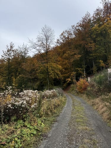 Jung-Stilling-Rundweg