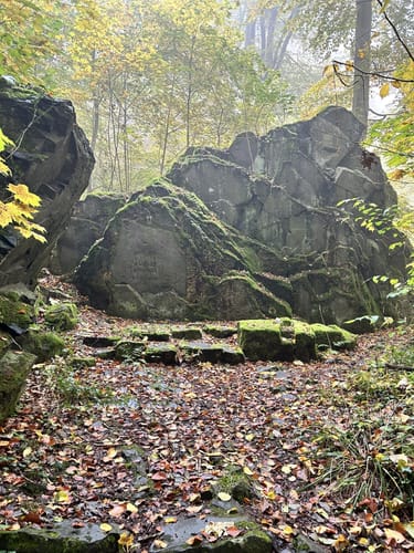 Hoher Meißner P1 (Premiumwanderweg)