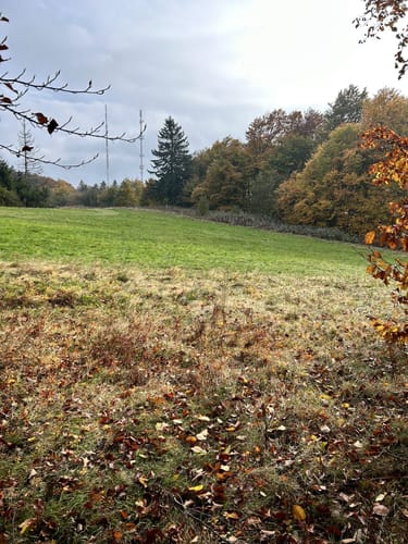 Hoher Meißner P1 (Premiumwanderweg)