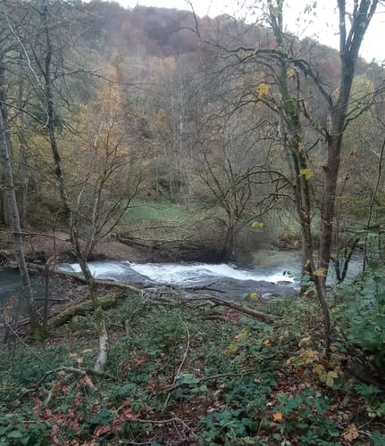 Zur Ruine Wartstein und dem Wasserfall Hohe Gießel