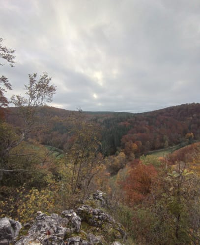 Zur Ruine Wartstein und dem Wasserfall Hohe Gießel