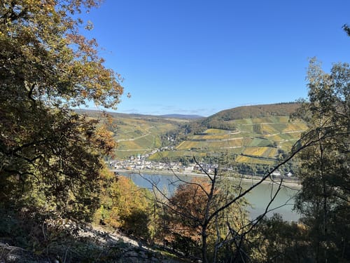 Morgenbachtal Rundweg ab Burg Rheinstein