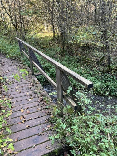 HeimatSpur: Lavaweg Deudesfeld