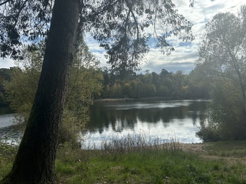 Um den Hochholzer See
