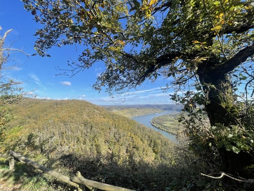 Mittelrhein-Klettersteig (Premiumwanderweg)