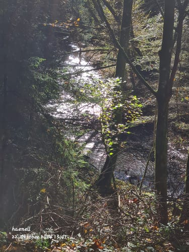 Ruine Balduinsburg Rundweg
